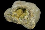 Yellow Crystal Filled Septarian Geode ( lbs) - Utah #135443-2